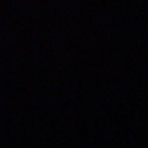 Meet your Posher, Dalton